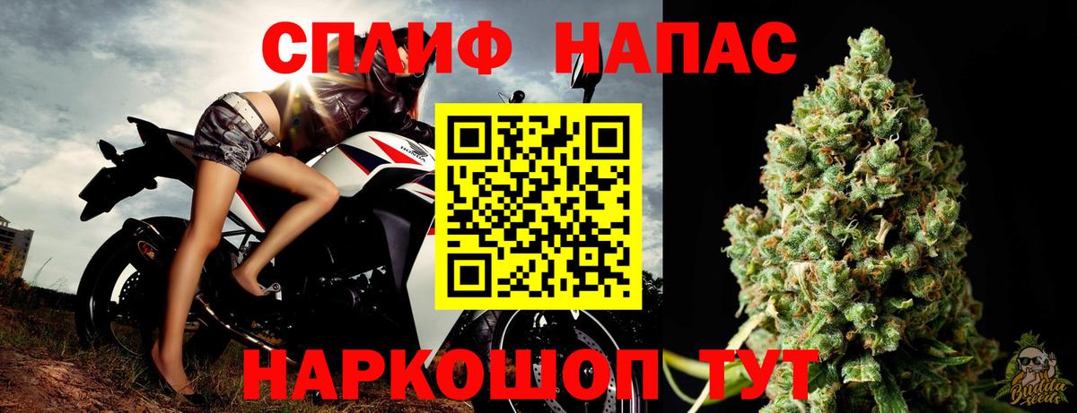 Бошки Шишки план  Бошки Шишки гибрид  Вход с VPN  Черкесск 